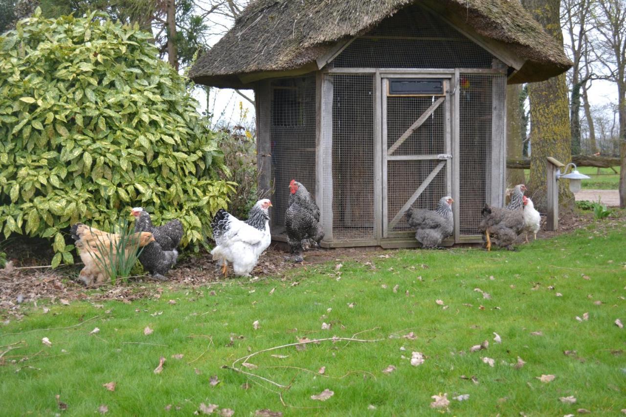 Wildwestruurlo Villa Exteriör bild